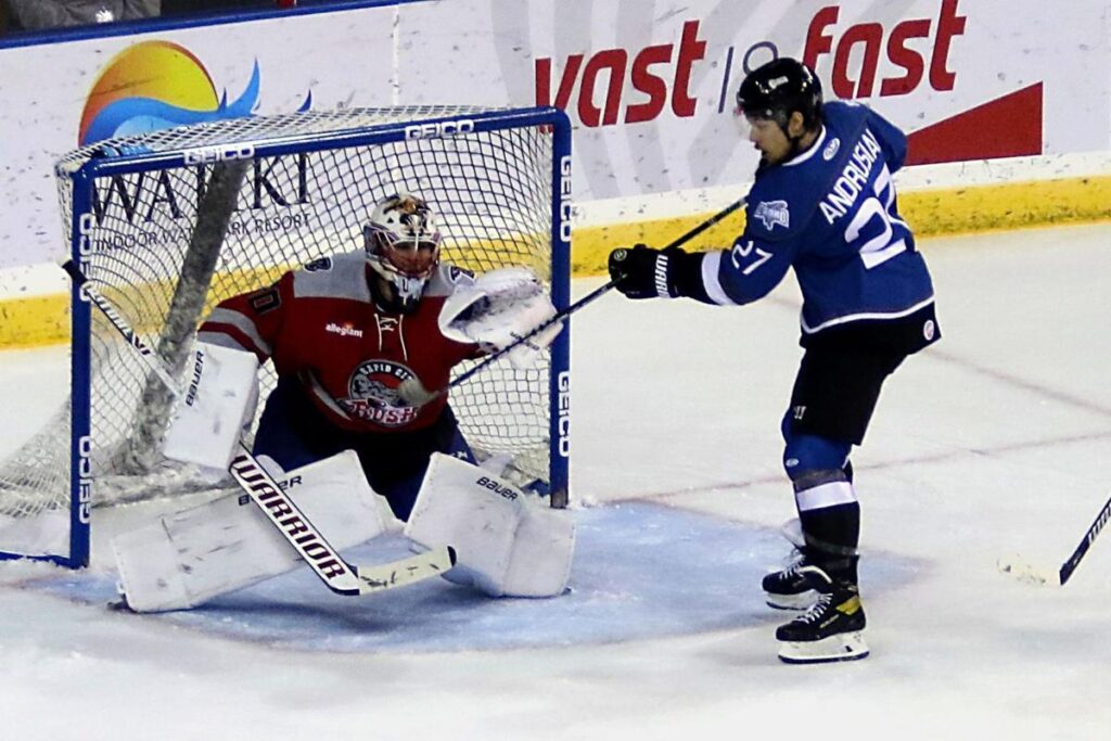 dk-in-goal